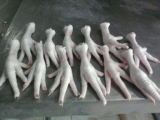Processed Frozen Chicken Feet_Paws_